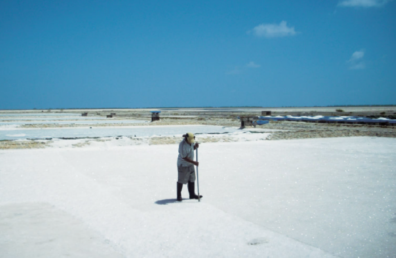 海水を天日干しして作られる塩田の風景