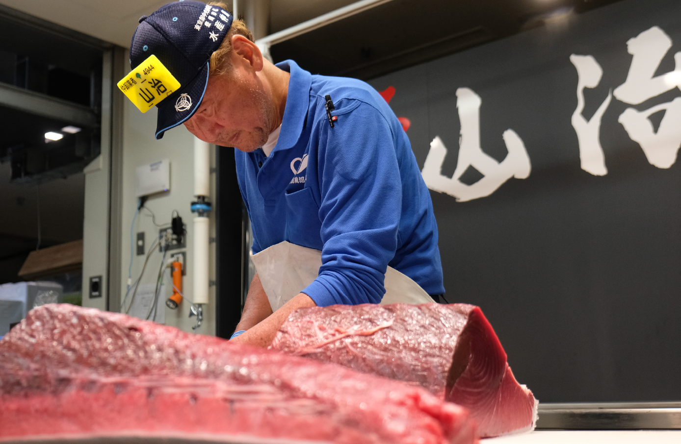 マグロの品質を目利きする仲卸業者