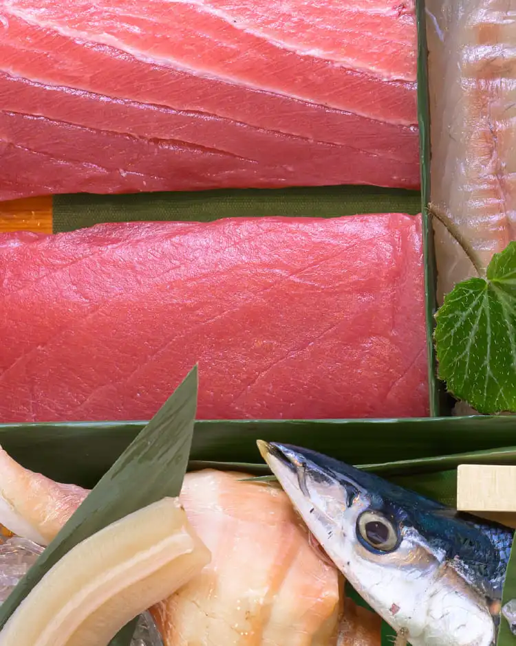 豊洲市場の新鮮なマグロと旬の鮮魚の盛り合わせ