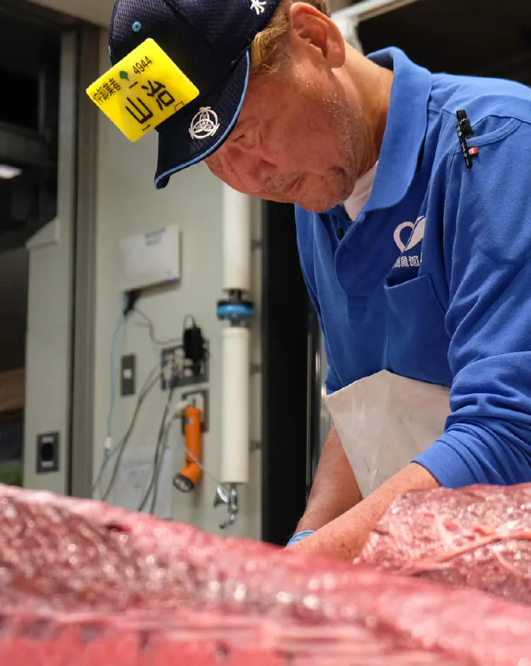 豊洲市場の鮪仲卸の男性が、大きな本鮪のブロックを切り分ける様子